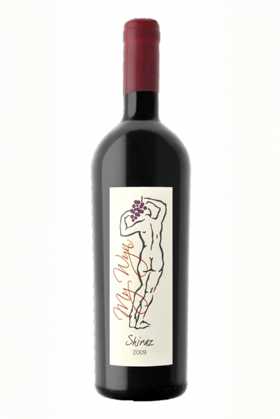 My Wyn Shiraz 2009