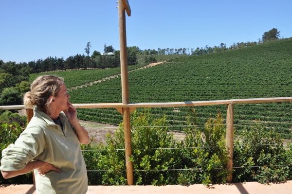 Catherine Marshall Pinot Noir 2016 on Sandstone Soils